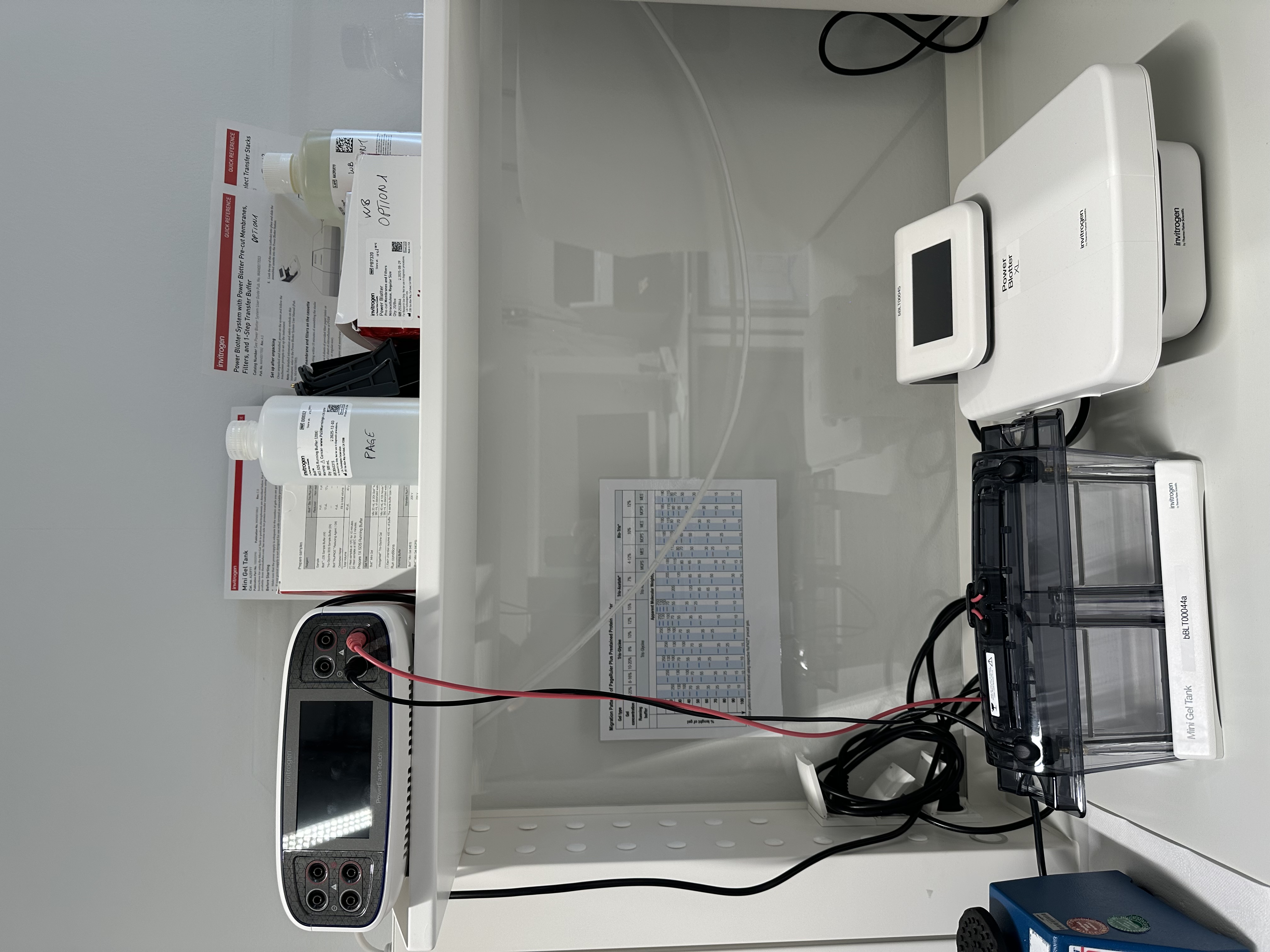 Protein Workstation