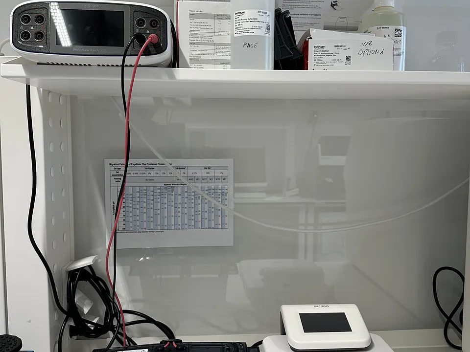 Analytic Lab 1.50 image 4